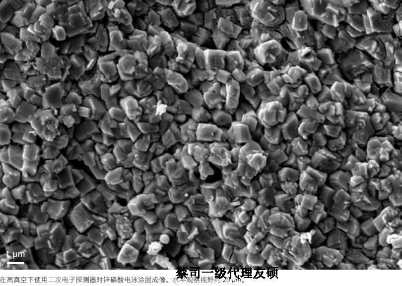 新疆蔡司新疆扫描电镜