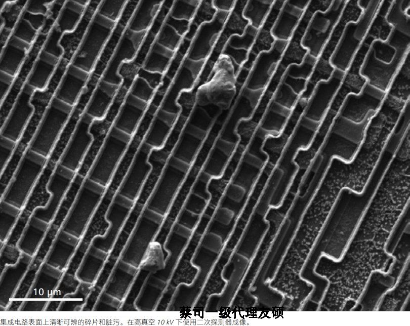 新疆蔡司新疆扫描电镜EVO