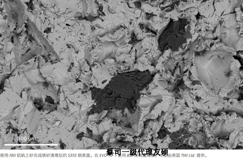 新疆蔡司新疆扫描电镜EVO