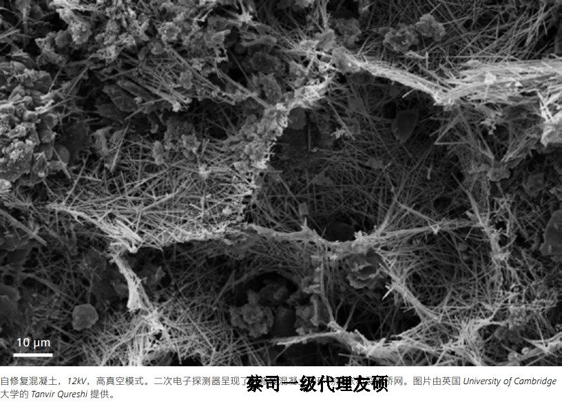 新疆蔡司新疆扫描电镜