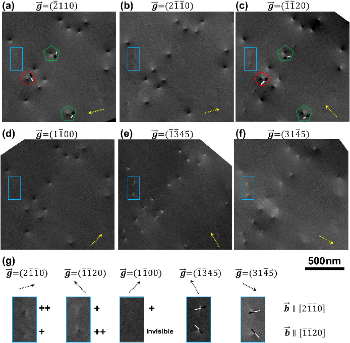 场发射新疆扫描电镜