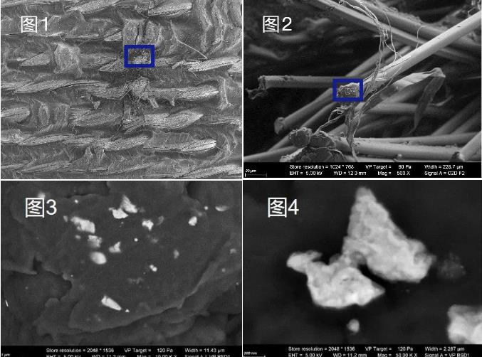 新疆蔡司新疆扫描电镜
