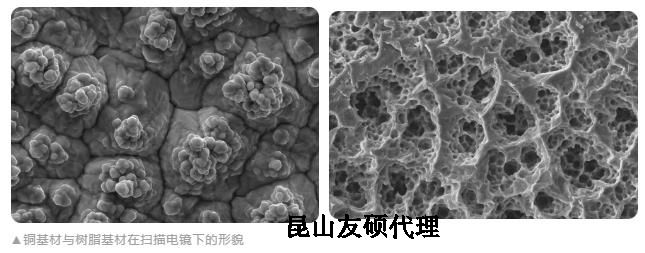 新疆蔡司新疆扫描电镜