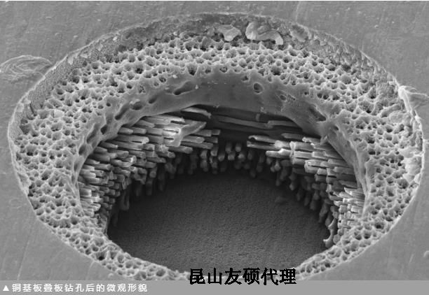 新疆蔡司新疆扫描电镜